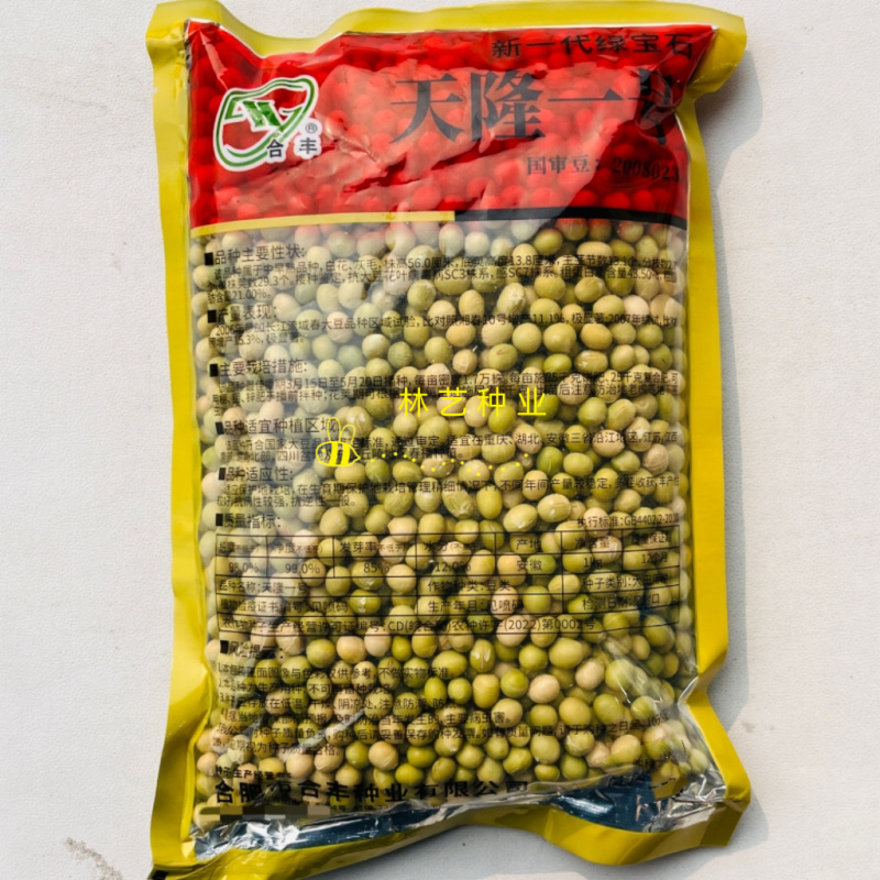 天隆一号毛豆种子特绿青豆籽高产大粒黄豆大豆种籽菜豆
