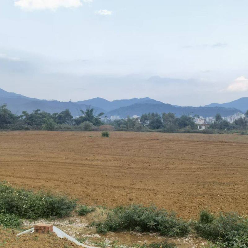 201亩土地出租转让，有意者佳围***********