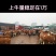 贵州小海牛市300~800斤西门塔尔小公牛，小母牛、宰牛