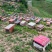 和政高原土蜂蜜，产自海拔2000米以上太子山天然林区！