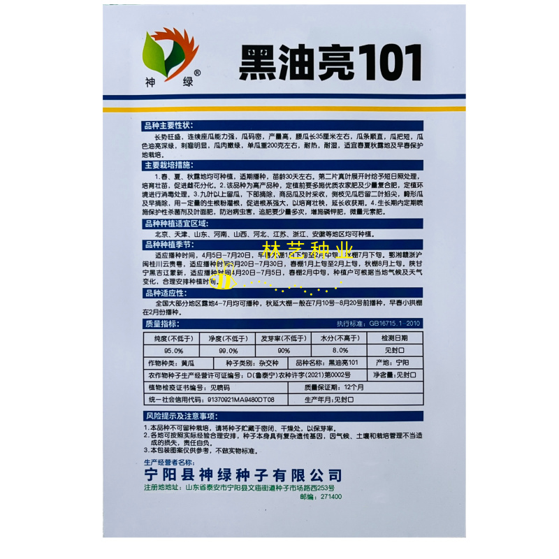 黑油亮101黄瓜种子强雌长条密刺绿皮绿肉耐热黄瓜种籽春秋