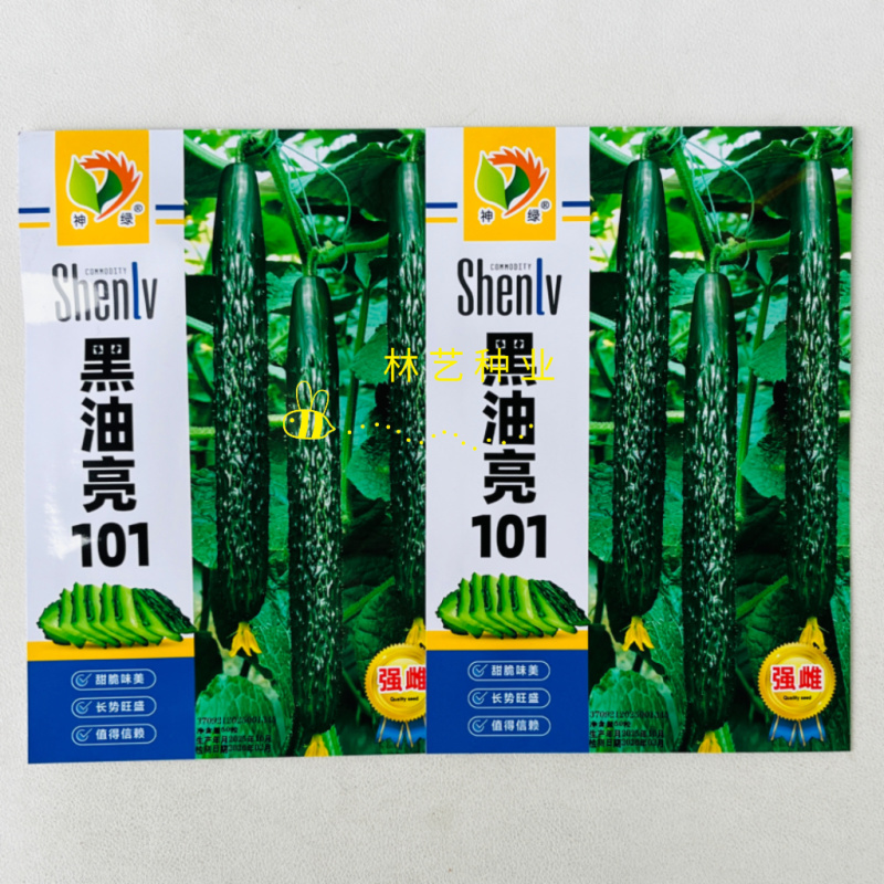 黑油亮101黄瓜种子强雌长条密刺绿皮绿肉耐热黄瓜种籽春秋