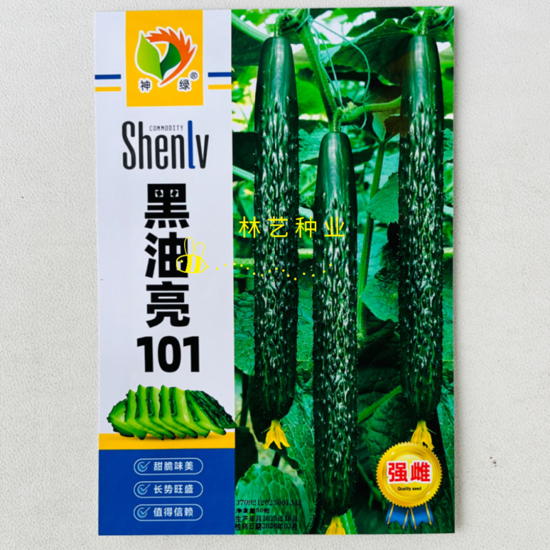 黑油亮101黄瓜种子强雌长条密刺绿皮绿肉耐热黄瓜种籽春秋