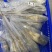 A级精品冷冻小青龙