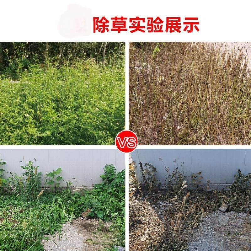拜耳农达美国孟山都草甘膦异丙胺盐柑橘果园茶园烂根剂农药除