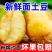 《热卖》内蒙古沃土五号土豆大量上市基地直发对接全国一条龙
