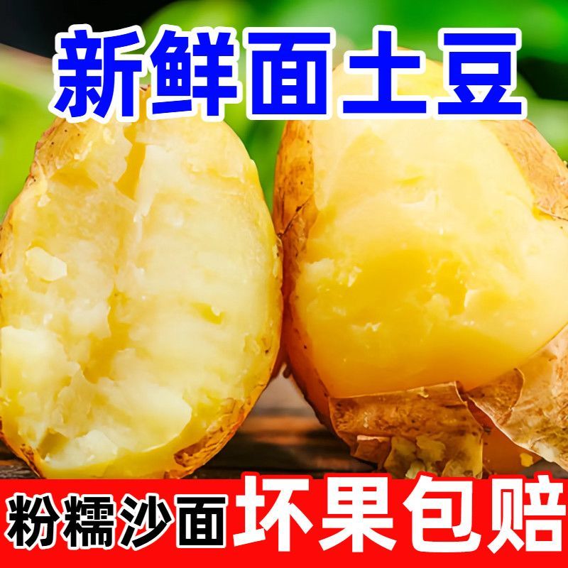 《热卖》内蒙古沃土五号土豆大量上市基地直发对接全国一条龙