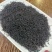 500克（实拍）正山小种红茶浓香型新茶武夷兰花香红茶