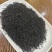 500克（实拍）正山小种红茶浓香型新茶武夷兰花香红茶