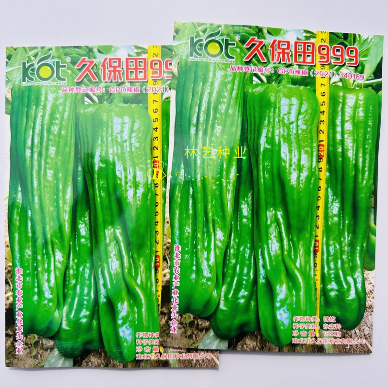 久保田999辣椒种子早熟薄皮辣椒大果泡椒种子高产大青椒种