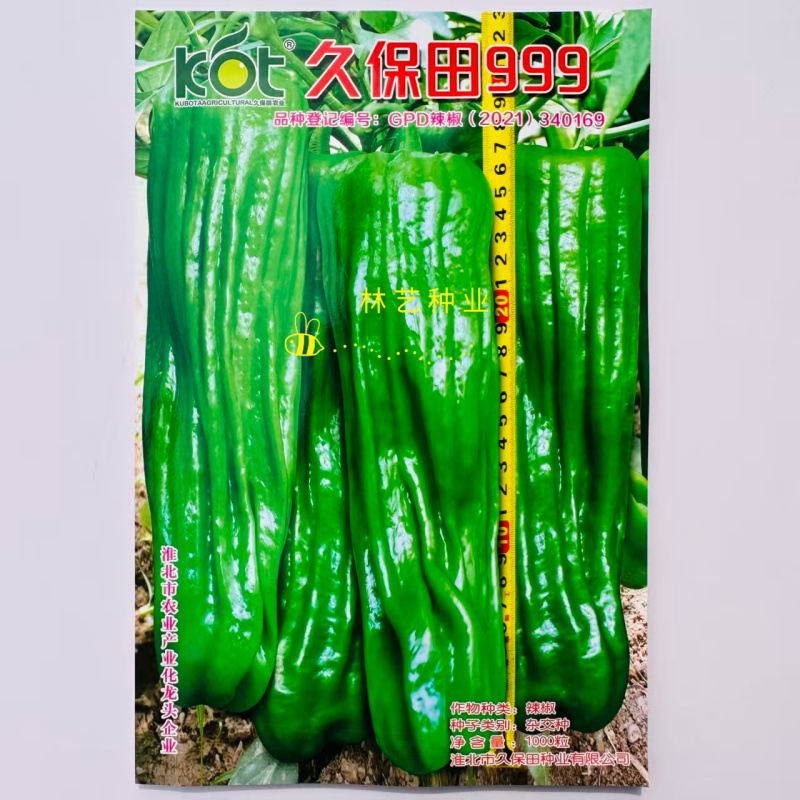 久保田999辣椒种子早熟薄皮辣椒大果泡椒种子高产大青椒种