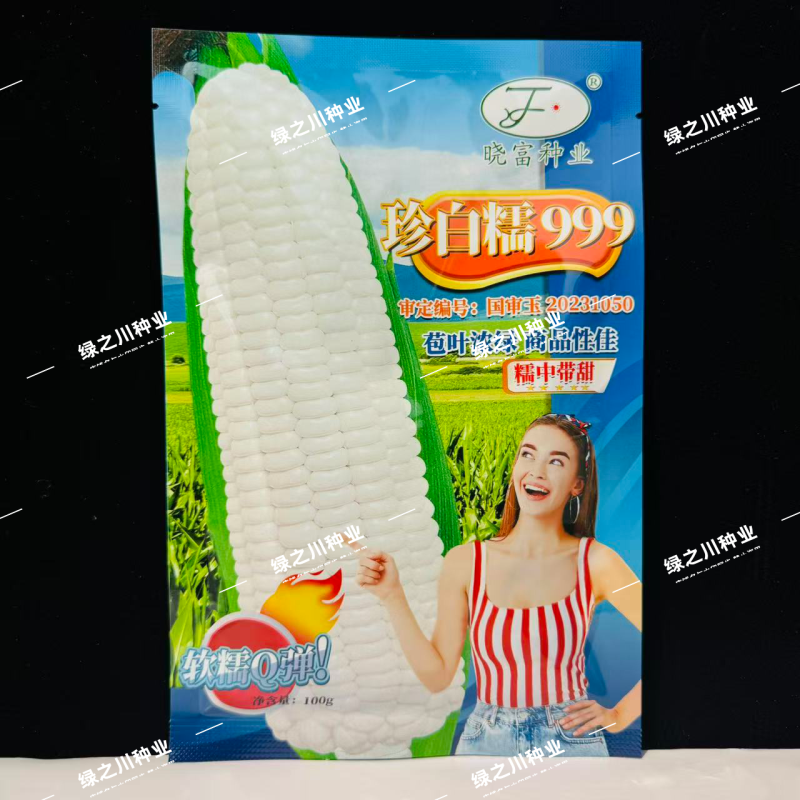 珍白糯999玉米种子软糯Q弹白粘糯玉米种子糯中带甜