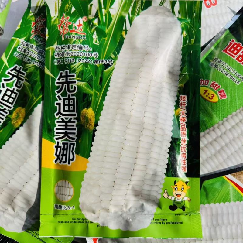 迪甜糯336玉米种子矮杆甜糯玉米种子特大棒超甜糯鲜食玉米