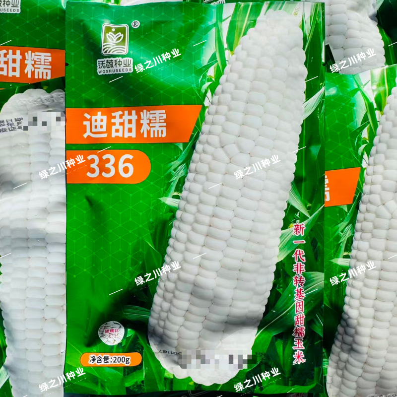 迪甜糯336玉米种子矮杆甜糯玉米种子特大棒超甜糯鲜食玉米