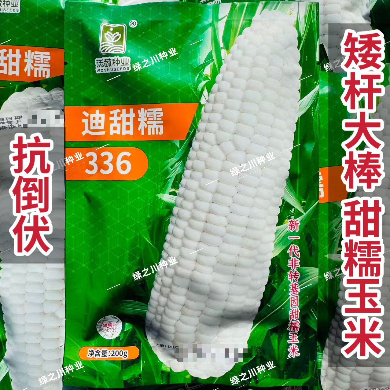 迪甜糯336玉米种子矮杆甜糯玉米种子特大棒超甜糯鲜食玉米