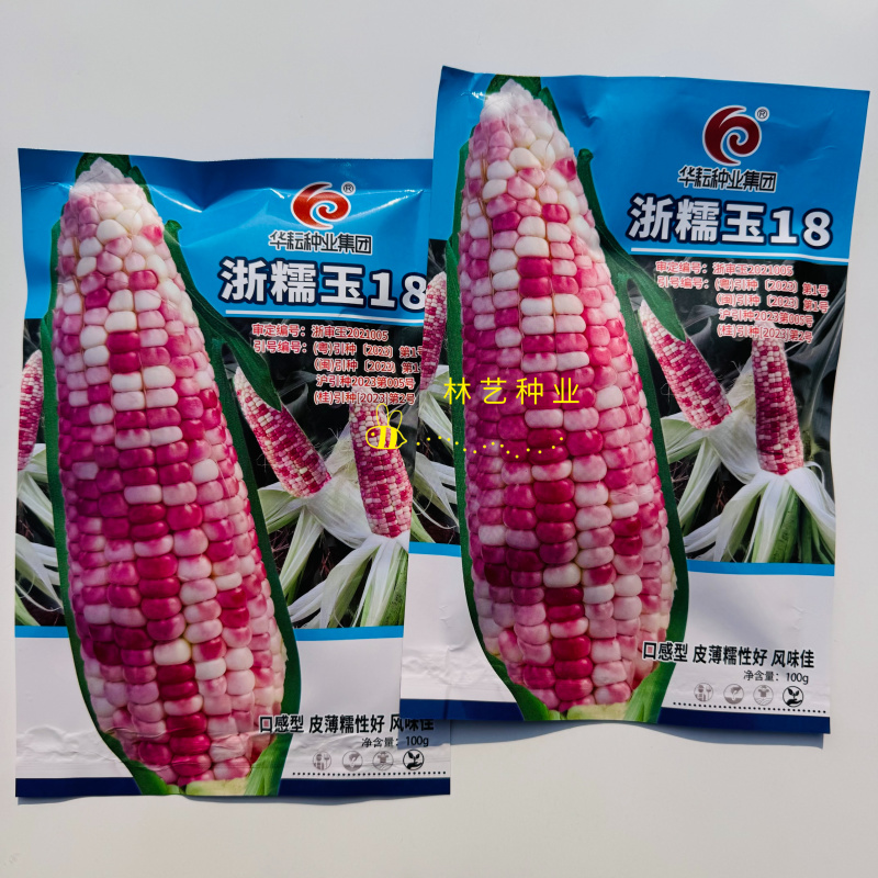 浙糯玉18号玉米种子皮薄糯性好口感型花糯玉米香糯抗病