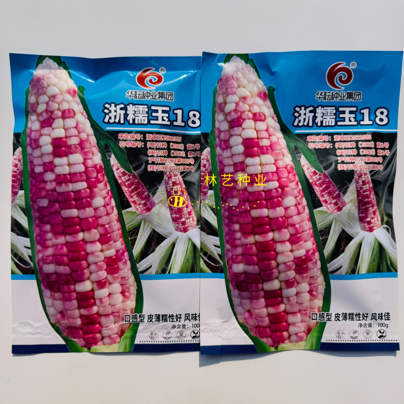 浙糯玉18号玉米种子皮薄糯性好口感型花糯玉米香糯抗病