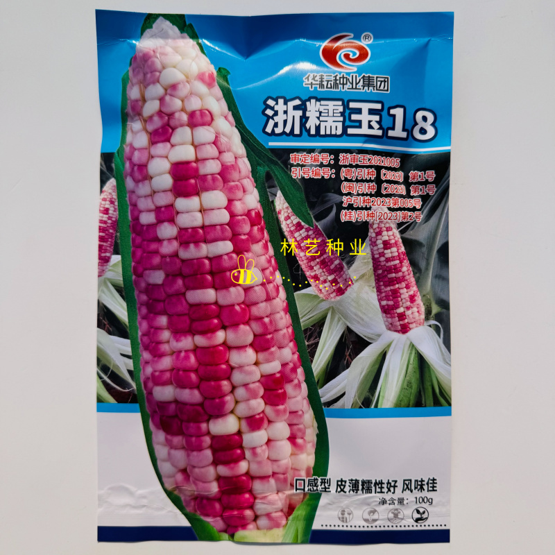 浙糯玉18号玉米种子皮薄糯性好口感型花糯玉米香糯抗病