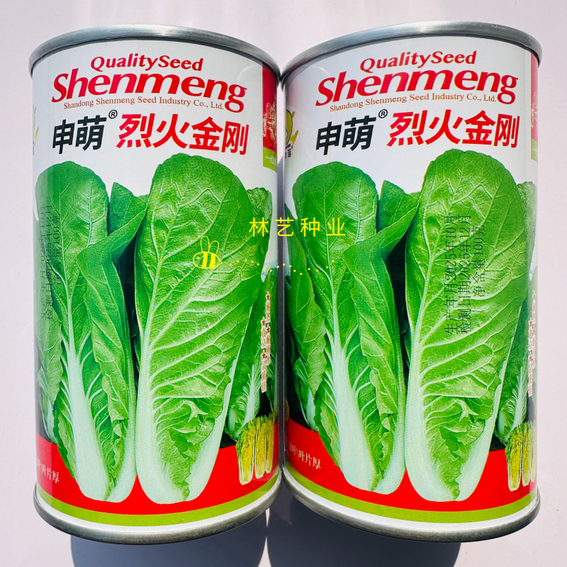 申萌烈火金刚快菜种子抗热耐湿无毛白菜种子小青菜种子