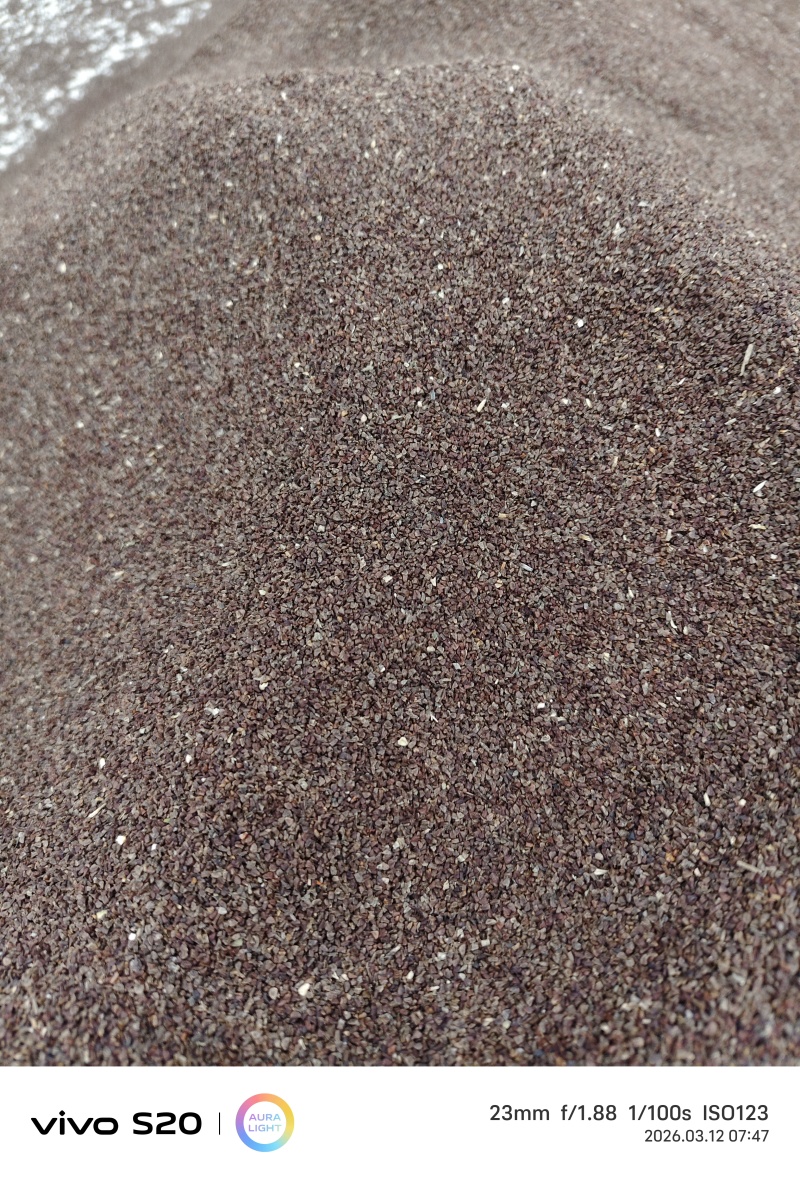 月见草种子