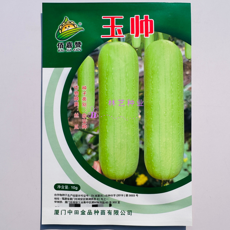 玉帅短棒肉丝瓜种子中早熟果皮绿白光滑油亮肉质紧实细嫩
