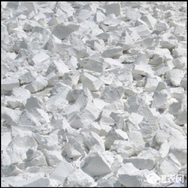 ***红薯粉，需要走量的可以联系我***********