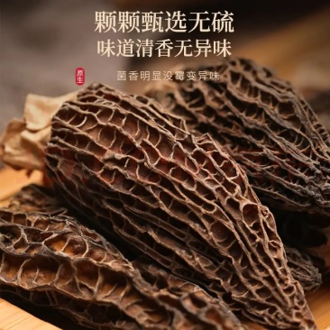 羊肚菌