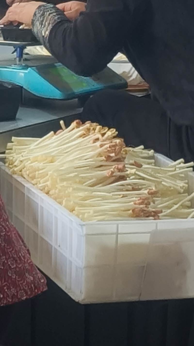 水培花生芽