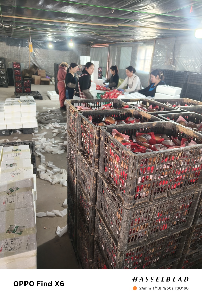 烤鹅蛋厂家直销支持各种一件代发诚信经营量大从优