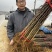 大红袍花椒树苗山东临沂基地现挖发货