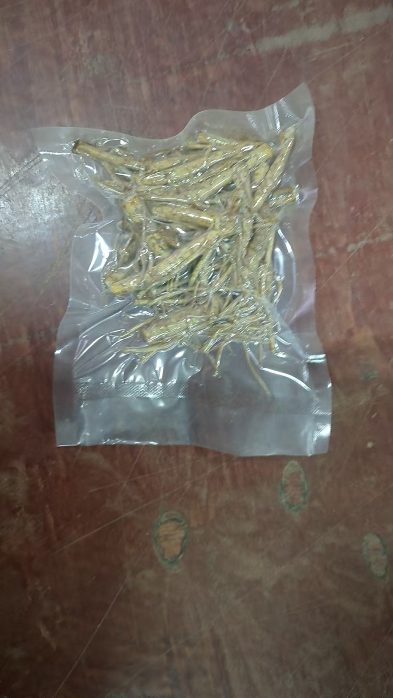 精品五指毛头
