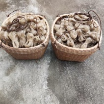 农家红薯粉条