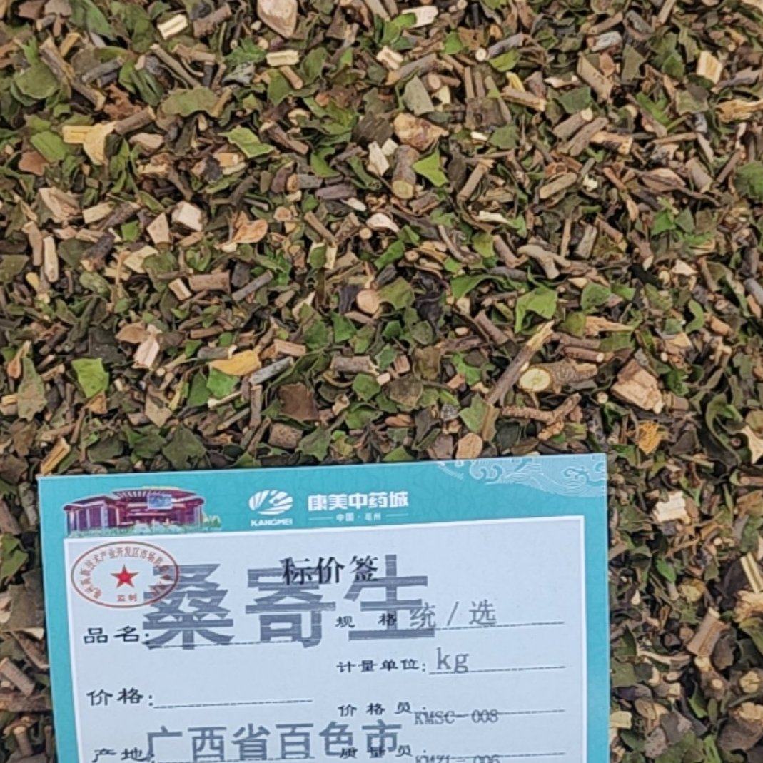 广西百色带叶子的桑寄生新货