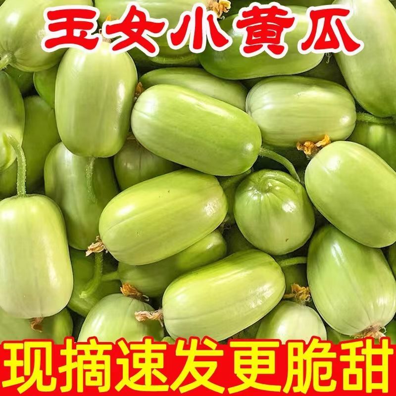 金童玉女小黄瓜水果黄瓜对接各大电商平台一件代发日发万3万