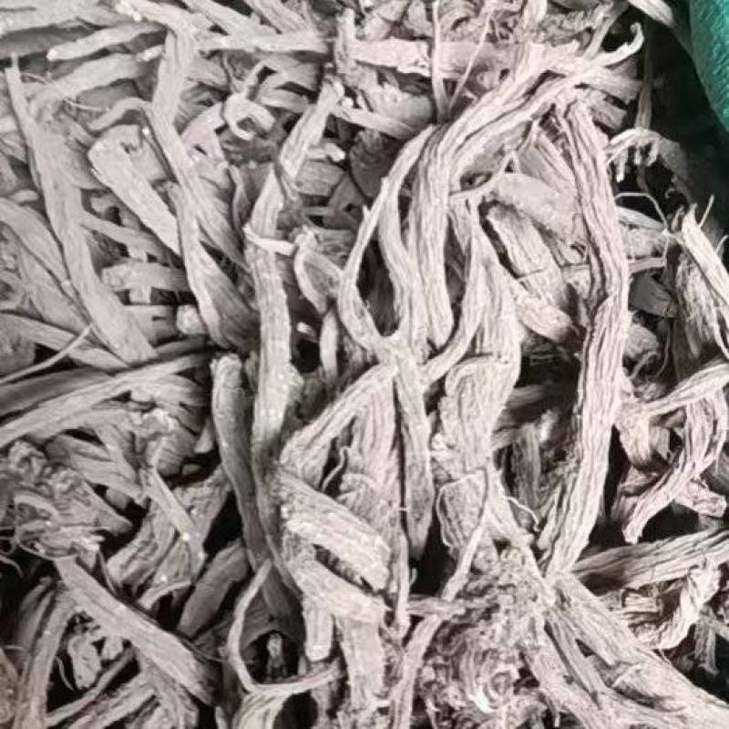 正宗川续断大量供应
