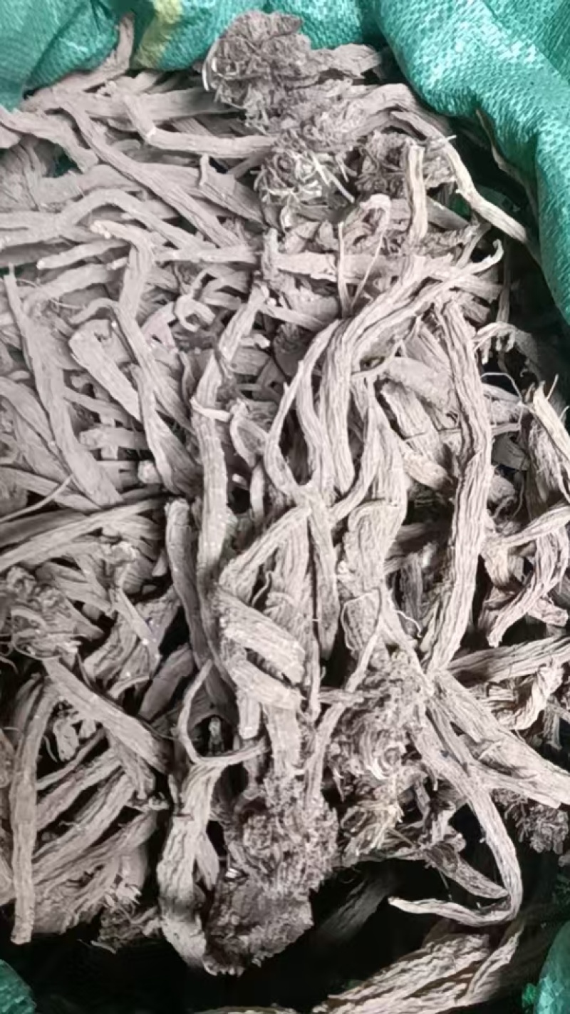 正宗川续断大量供应