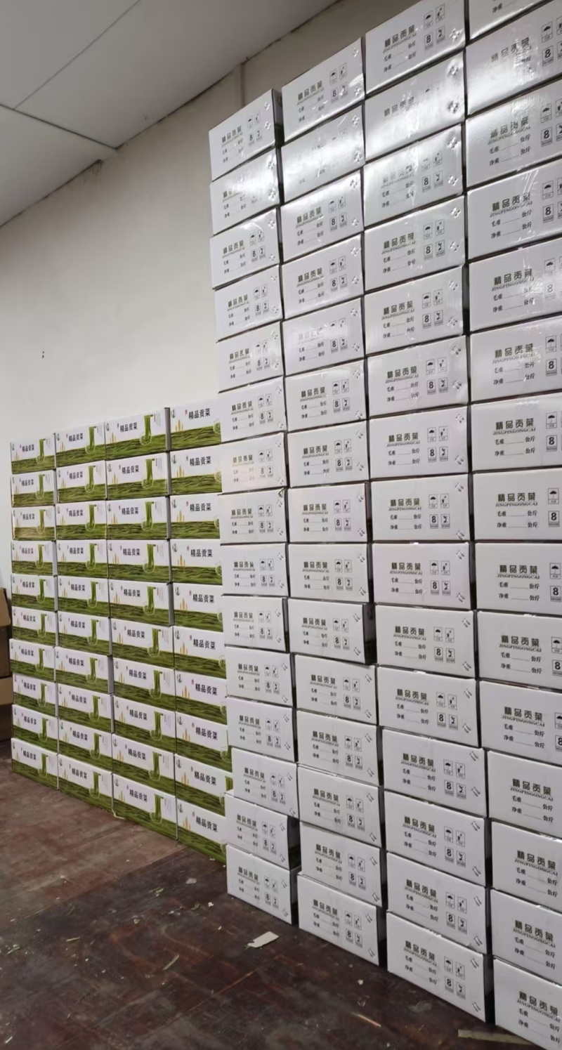 火锅餐饮商超优选贡菜贡菜干义门苔干一手货源全国一件代发