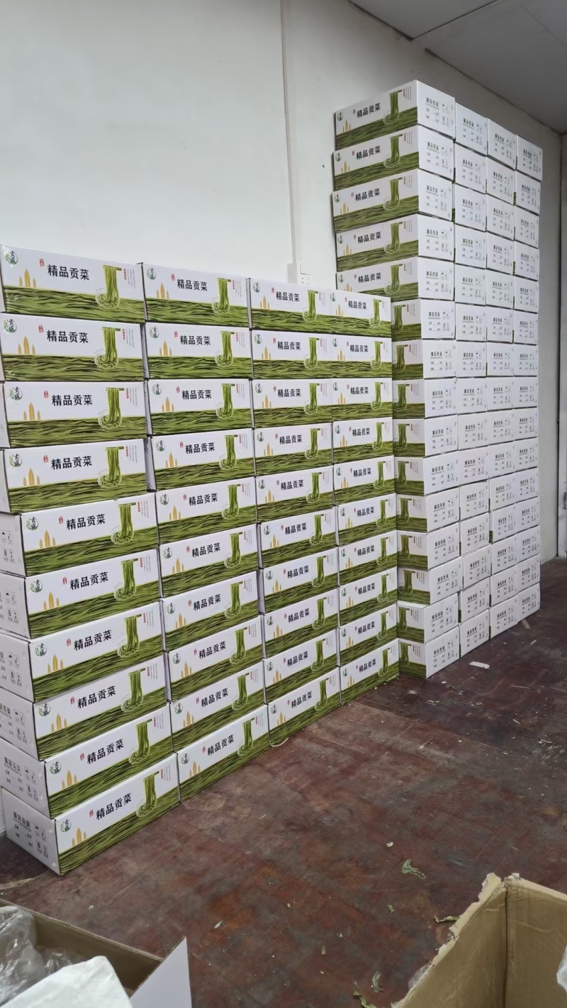 火锅餐饮商超优选贡菜贡菜干义门苔干一手货源全国一件代发
