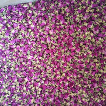 玫瑰花苦水玫瑰产地直发可常年供应品质保障对接全国