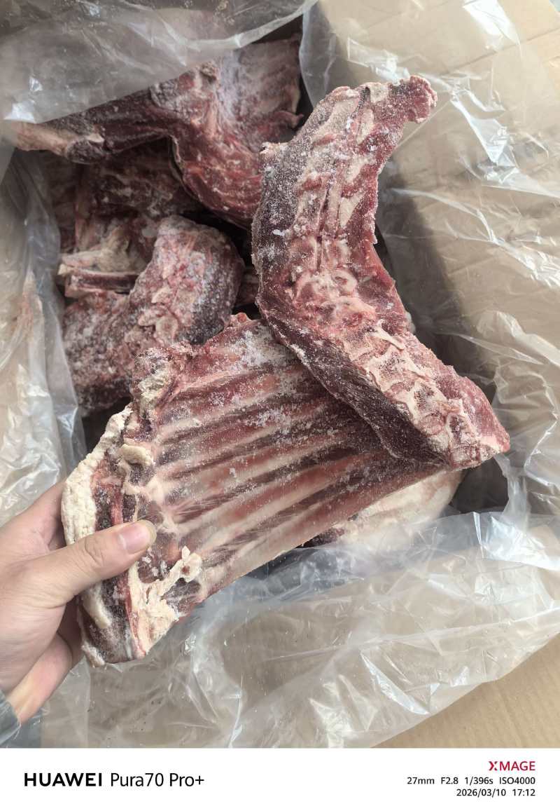 羊方肩骨