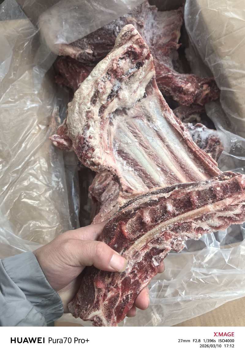 羊方肩骨