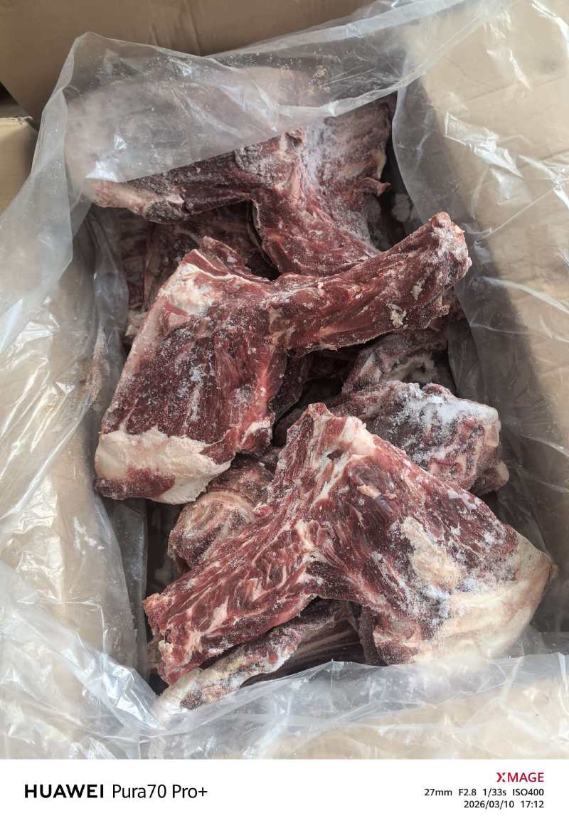 羊方肩骨