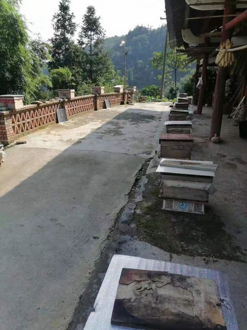 正宗白花蜂蜜