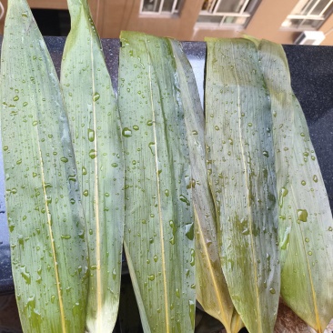 粽叶一手批发，高品质粽叶批发。全国各地包邮。