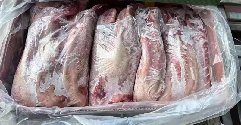 母猪精口条