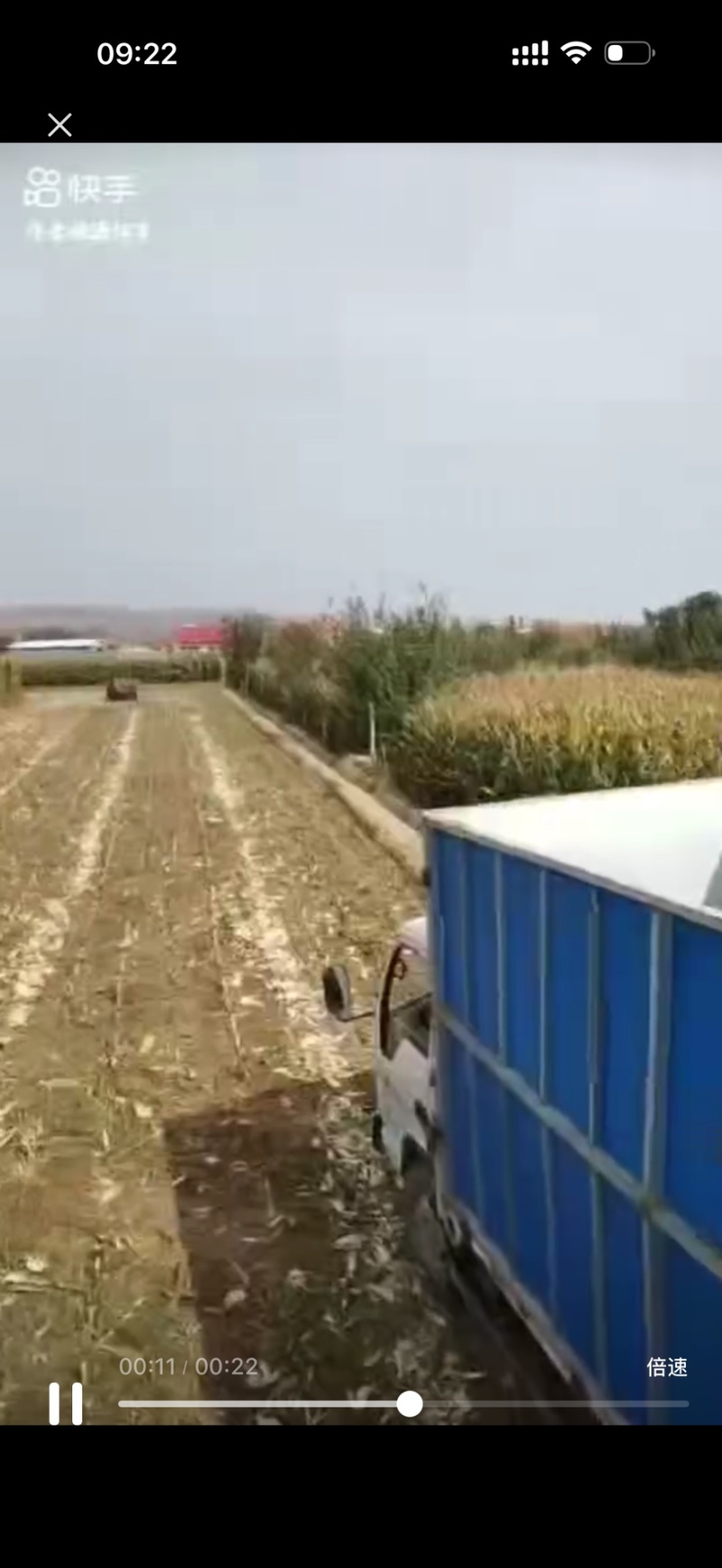 精品宁夏裹包黄储一次成型拒绝二次发酵，大量现货保质保