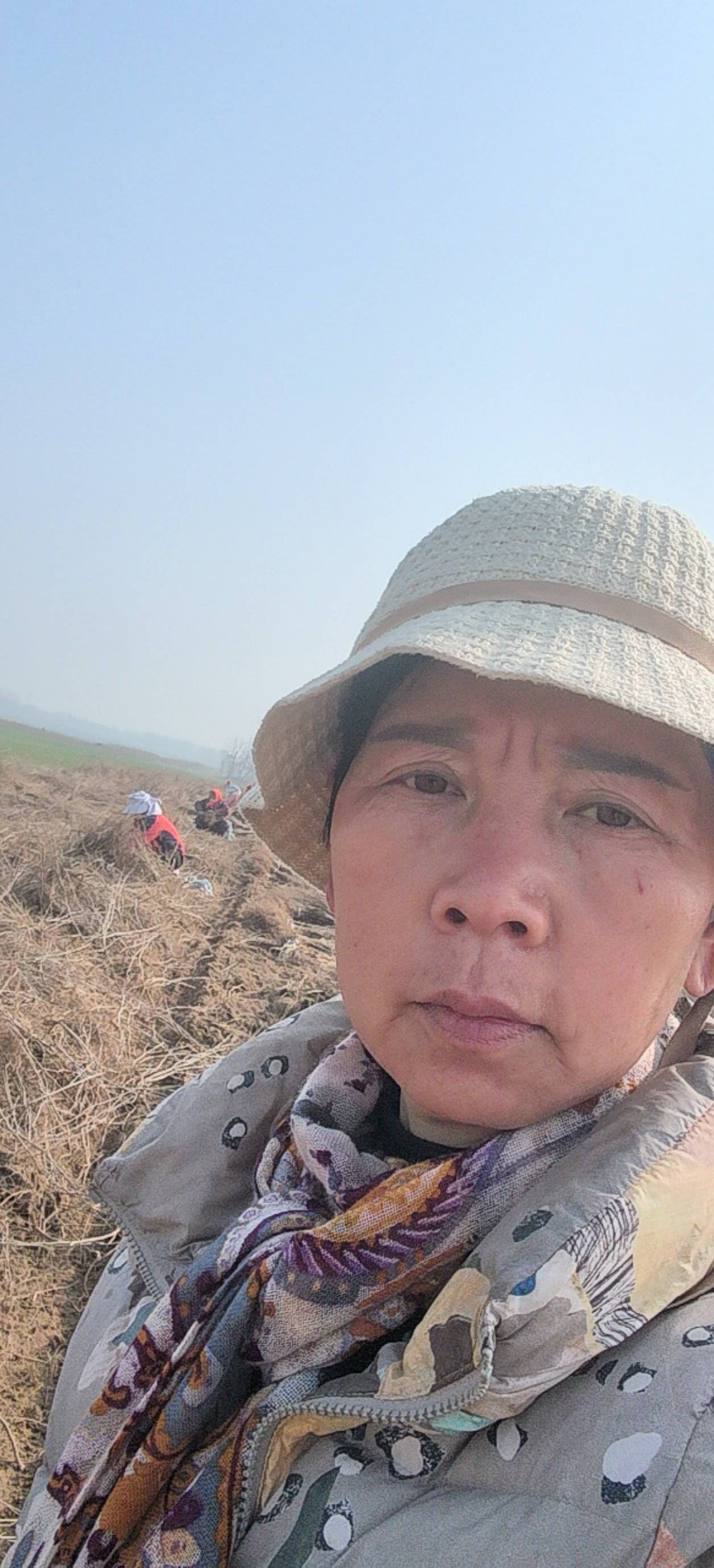 紫穗槐刺槐哪家强？民权川姐基地见真章！全规格供应，诚邀客