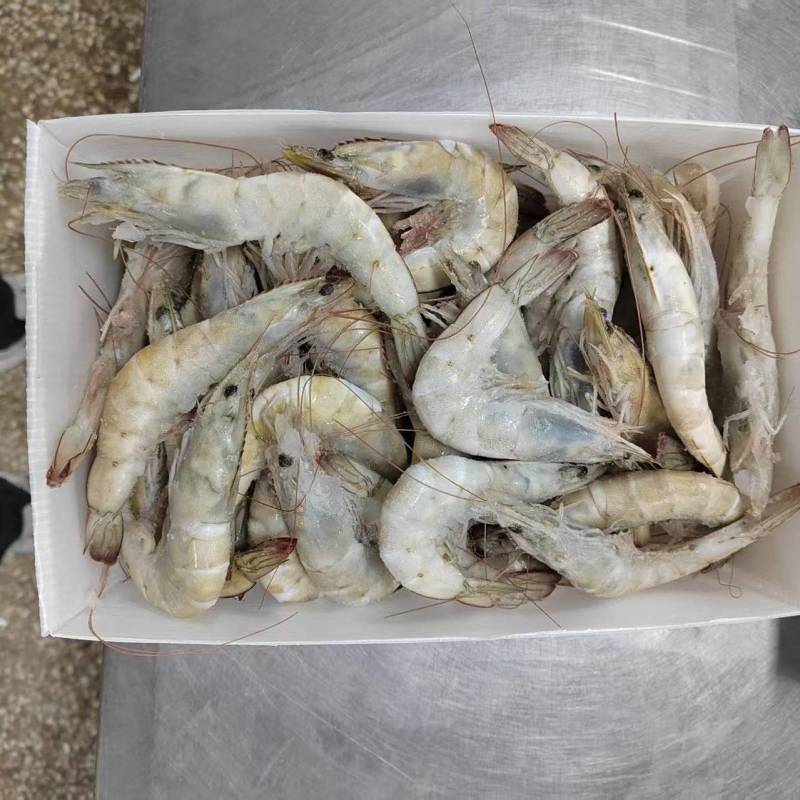 精品海鲜全品供应厄瓜多尔海捕虾白虾带鱼段扇贝柱等