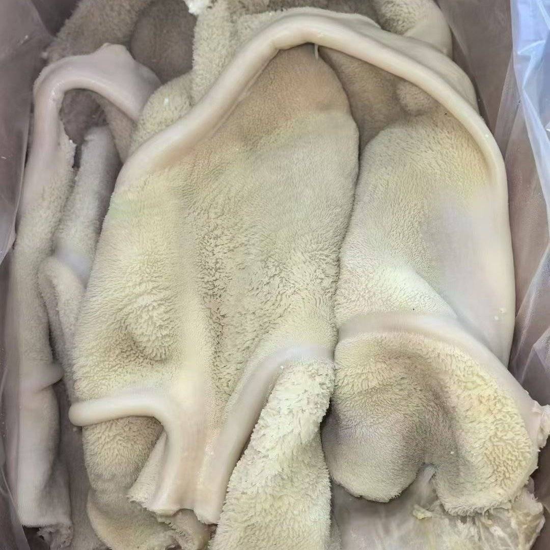 熟牛肚原味凉拌炒菜卤炖锅质量价优对接批发