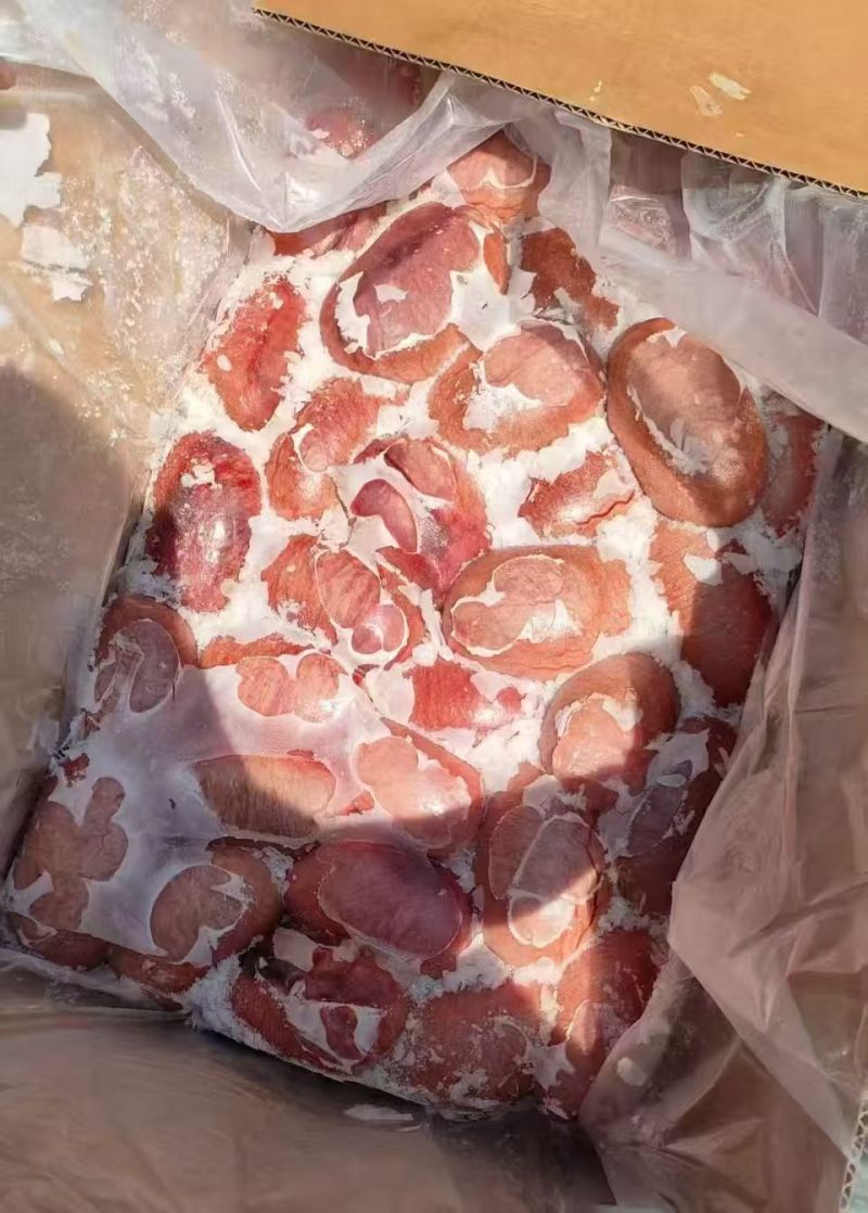 猪宝，现货现发，量大优惠